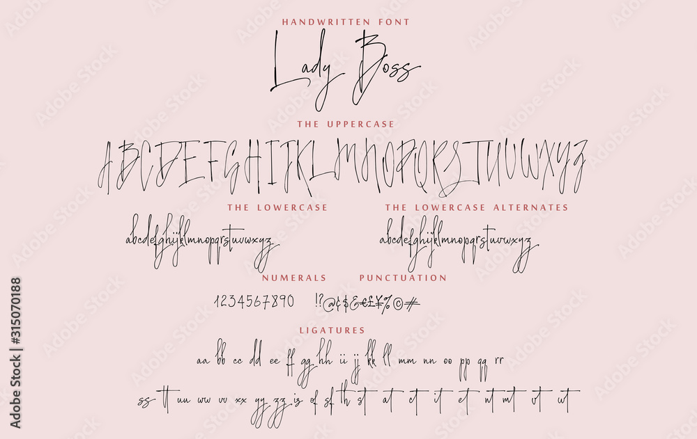 Handwritten script font vector alphabet Lady Boss set