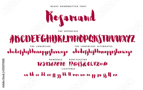 Handwritten script font vector alphabet Rosamund set