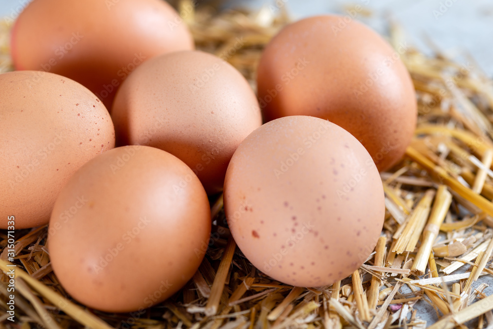 Close-up view of raw chicken eggs on hay.