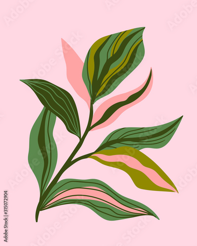 Greenery greeting/invitation card template design, green leaves on the pink background. Vector hand drawn card.