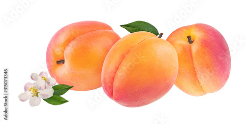 apricot isolated on white background