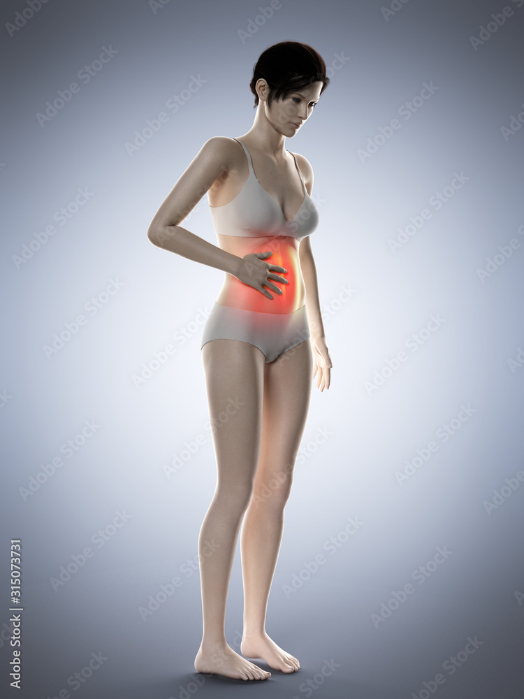 3d rendered medically accurate illustration of a woman having a painful belly