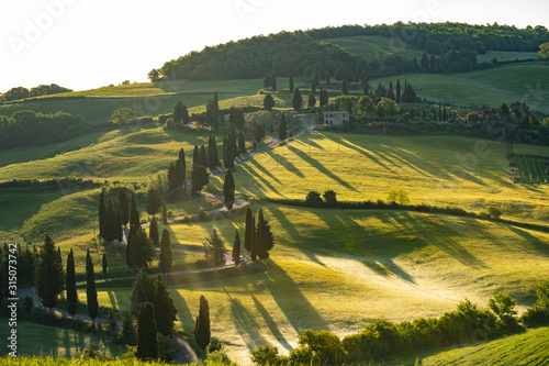 Tuscany - Landscape panorama, hills and meadow, Toscana - Italy photo