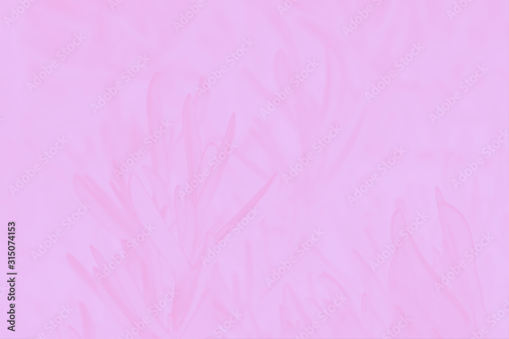 Pale pink gradient abstract background. Pastel. Succulent plant pattern