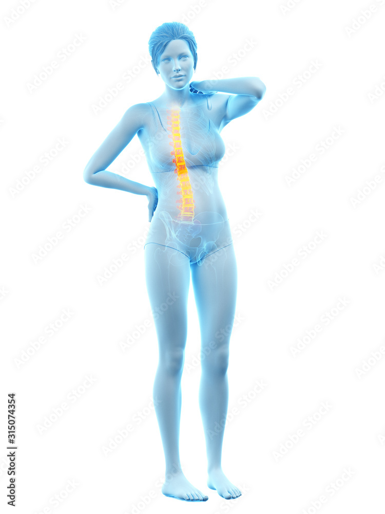 3d rendered medically accurate illustration of a woman having a backache 3d rendered medically accurate illustration of a woman having a backache