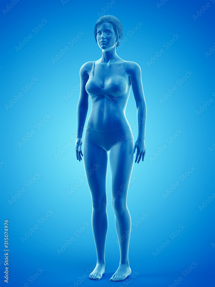 3d rendered medically accurate illustration of a woman