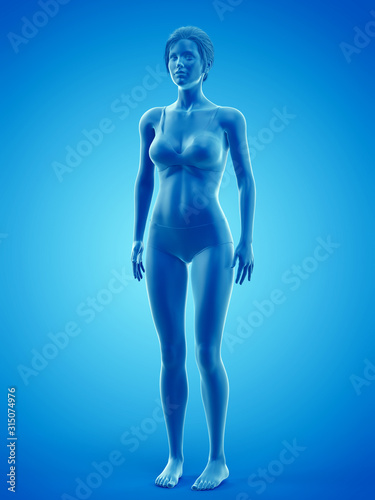 3d rendered medically accurate illustration of a woman