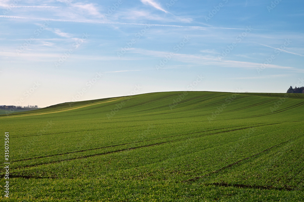 Feld Landschaft Landwirtschaft Hintergrund Hügel Wiese