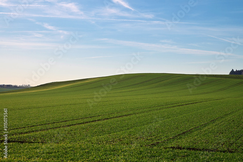 Feld Landschaft Landwirtschaft Hintergrund H  gel Wiese