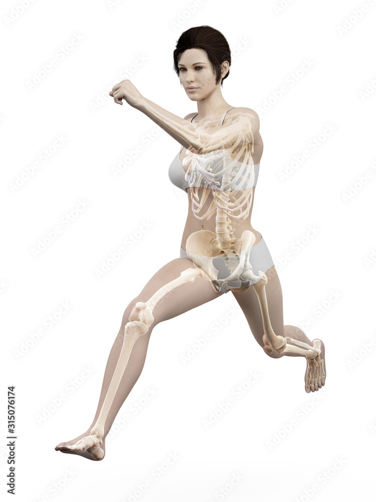3d rendered medically accurate illustration of a woman running 3d rendered medically accurate illustration of a woman running