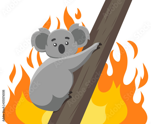Fires in the habitats of koalas. Ecological disaster in Australia. vector modern design illustration.