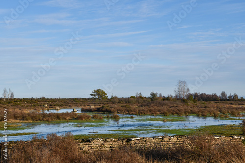Flooded land in a great plain grassland