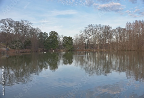 Reflection of trees and sky in lake