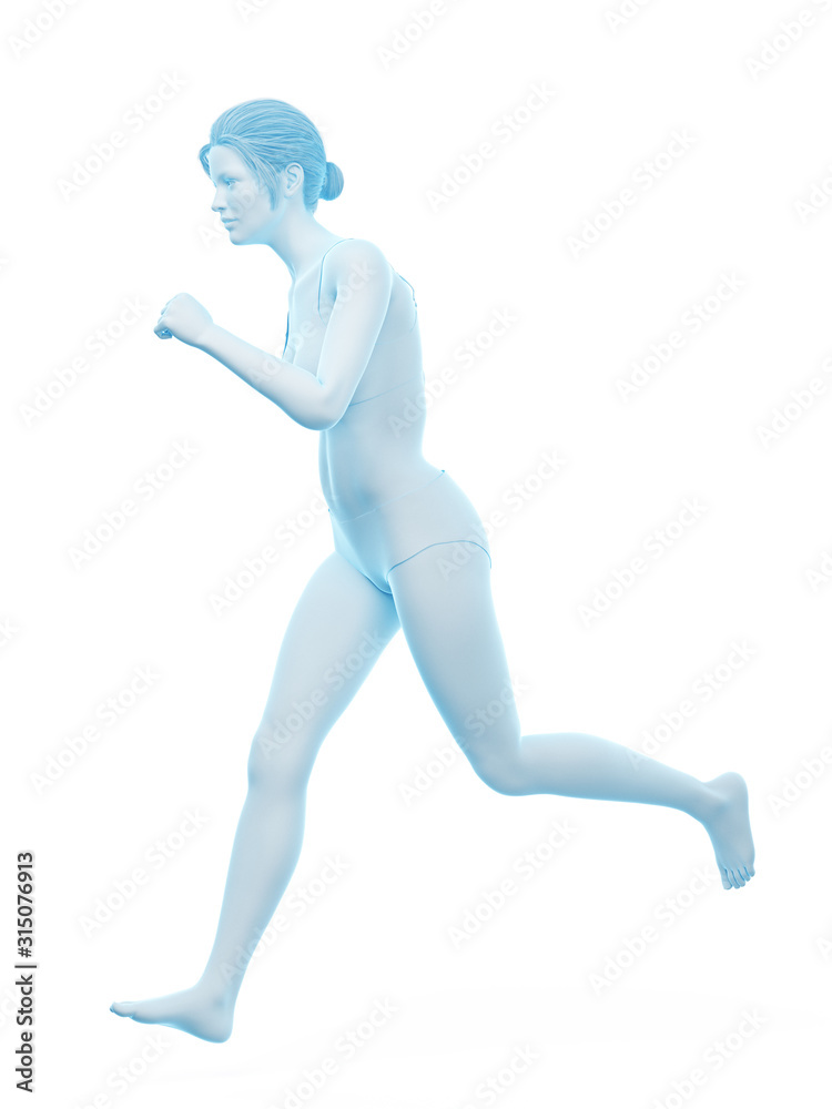 3d rendered medically accurate illustration of a woman running 3d rendered medically accurate illustration of a woman running