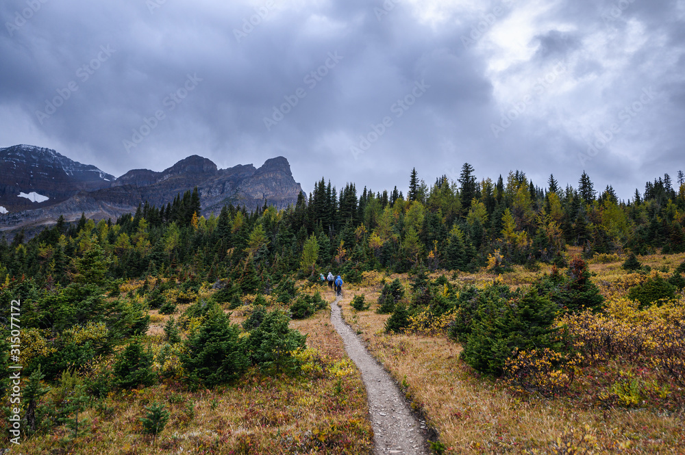 Group travelers trekking on trail in autumn forest on gloomy at Assiniboine provincial park