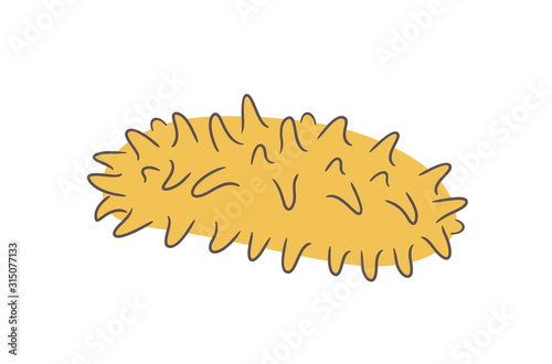 Sea cucumber logo. Isolated sea cucumber on white background. Trepang