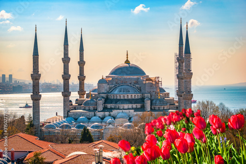 Blue Mosque and tulips