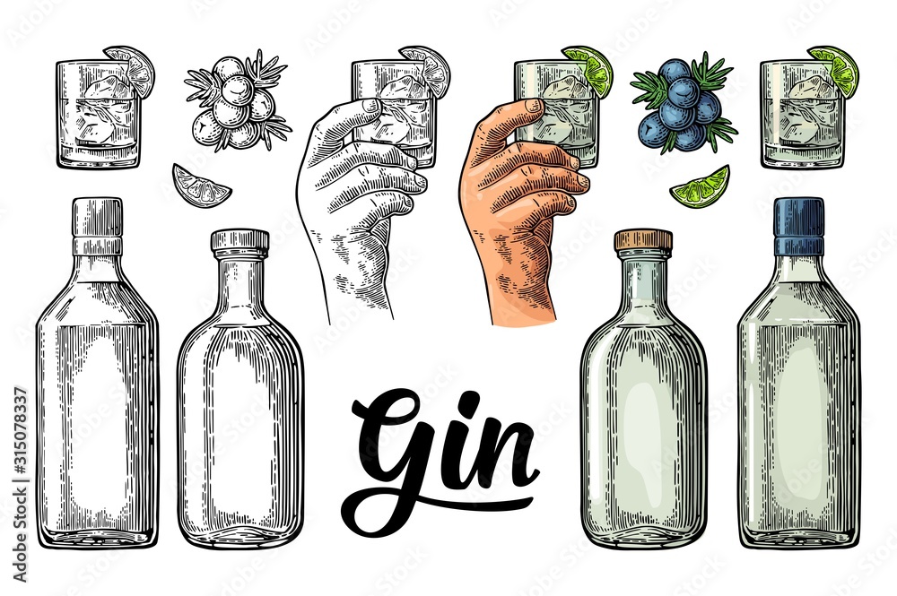 Naklejka Glass and bottle gin and branch juniper. Vintage vector color  engraving - jałowca, gin, szkło, fototapety | Foteks