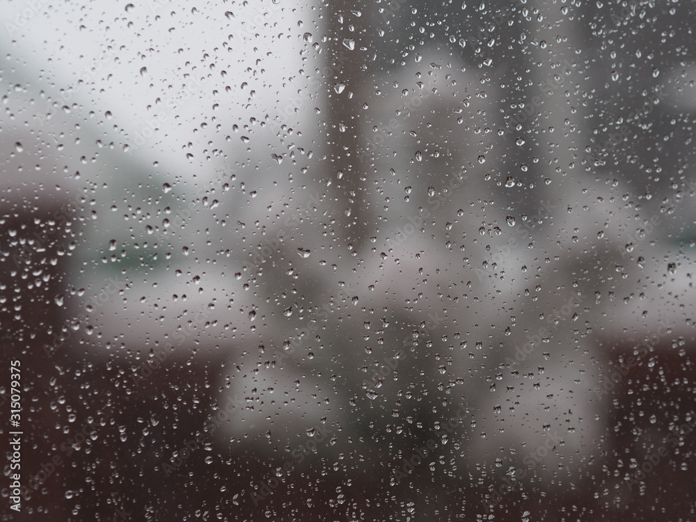 Obraz premium Winter. Blizzard outside the window. There is wet snow on the glass. On the window is a houseplant.