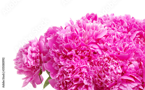 Pink peony isolated on white © Alekss