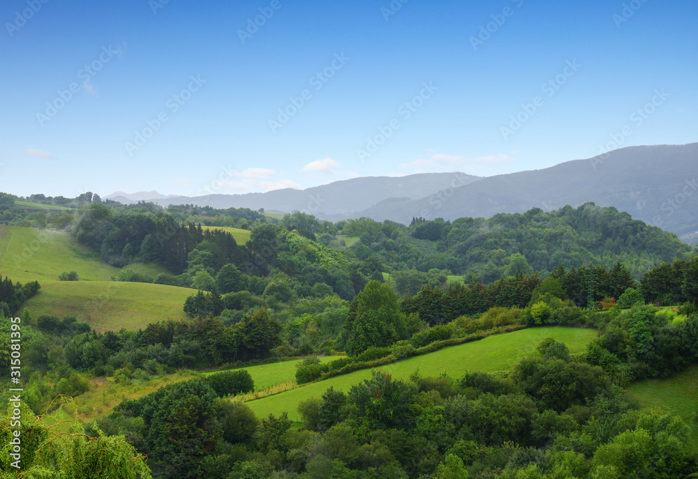  grassy field and hills