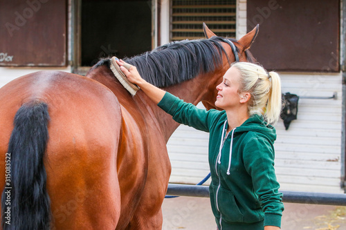Fototapeta Naklejka Na Ścianę i Meble -  Horse brown is cleaned by a girl, she is cleaning her back with her grooming brush..