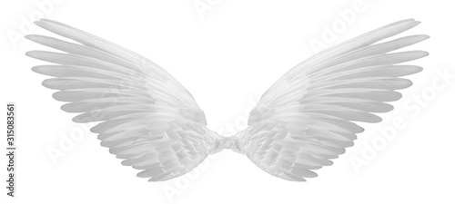 white wings of bird on white background