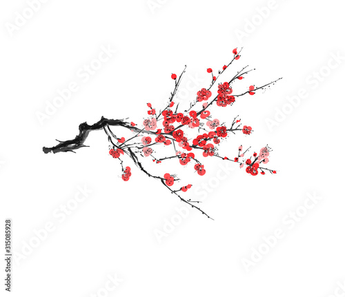 Realistic sakura blossom - Japanese cherry tree isolated on white background - Vector