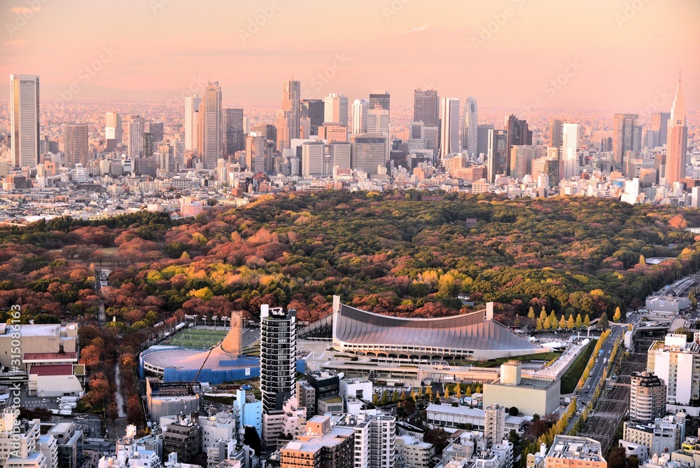Naklejka premium 東京の風景