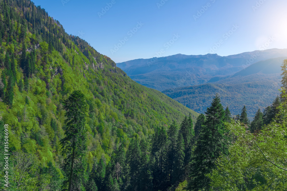 Mountain slopes with dense mixed forest in Europe.