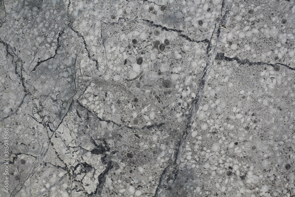 Obraz premium Old Cement rough wall abstract texture and background.