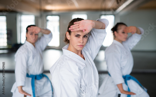 Group of young women practising karate indoors in gym.