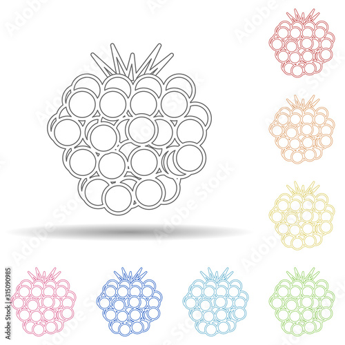 Blackberry in multi color style icon. Simple thin line, outline vector of fruit icons for ui and ux, website or mobile application