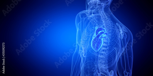Φωτογραφία 3d rendered medically accurate illustration of the human heart