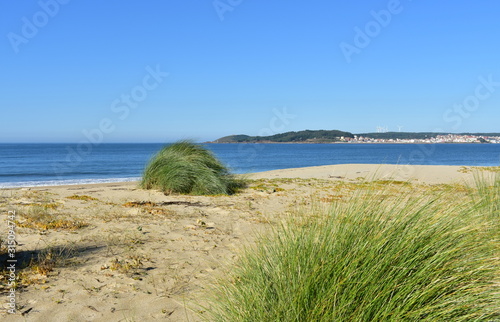 Beach with green vegetation on sand dunes  blue sea and clear sky. Muxia  Spain.