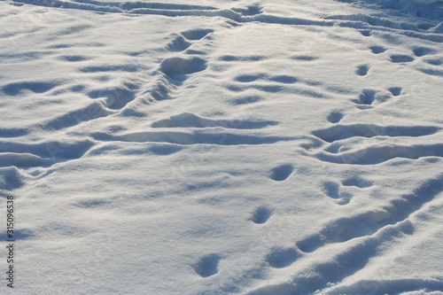 Footprints in the fresh fluffy snow © An_Alex