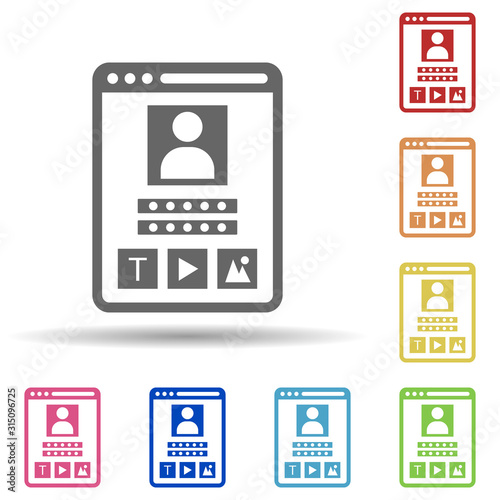Personal biodata, protected account, social media in multi color style icon. Simple glyph, flat vector of internet security icons for ui and ux, website or mobile application
