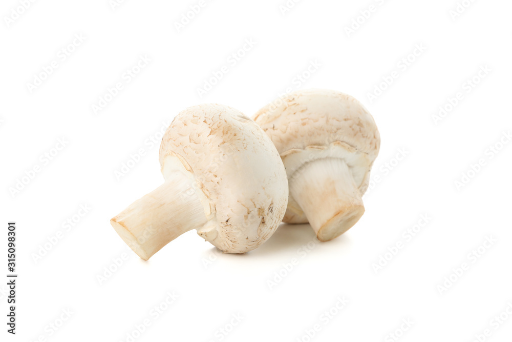 Сhampignon mushrooms isolated on white background, close up Сhampignon mushrooms isolated on white background, close up