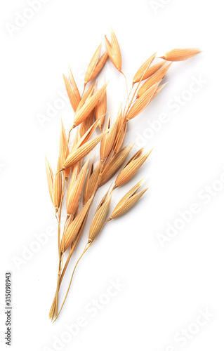 Oat on white backgrounds.