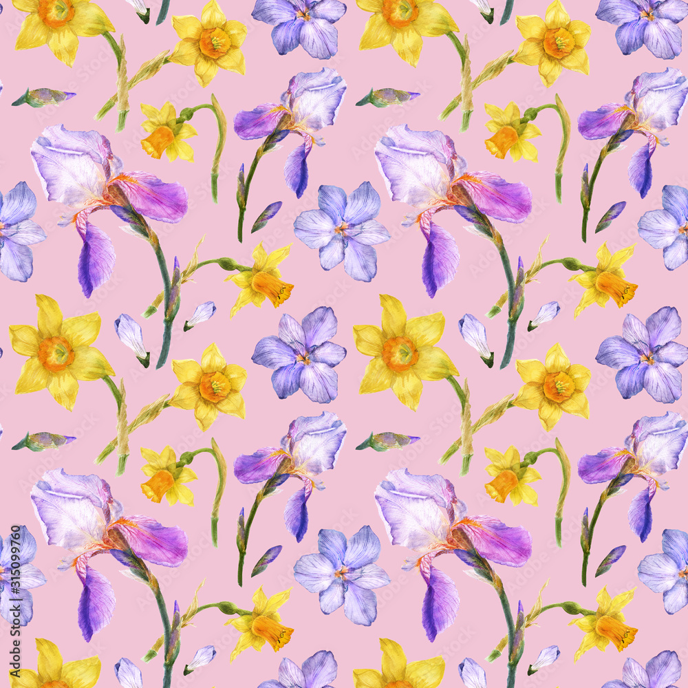 Purple iris and yellow daffodil watercolor seamless pattern on a pink background with clipping path