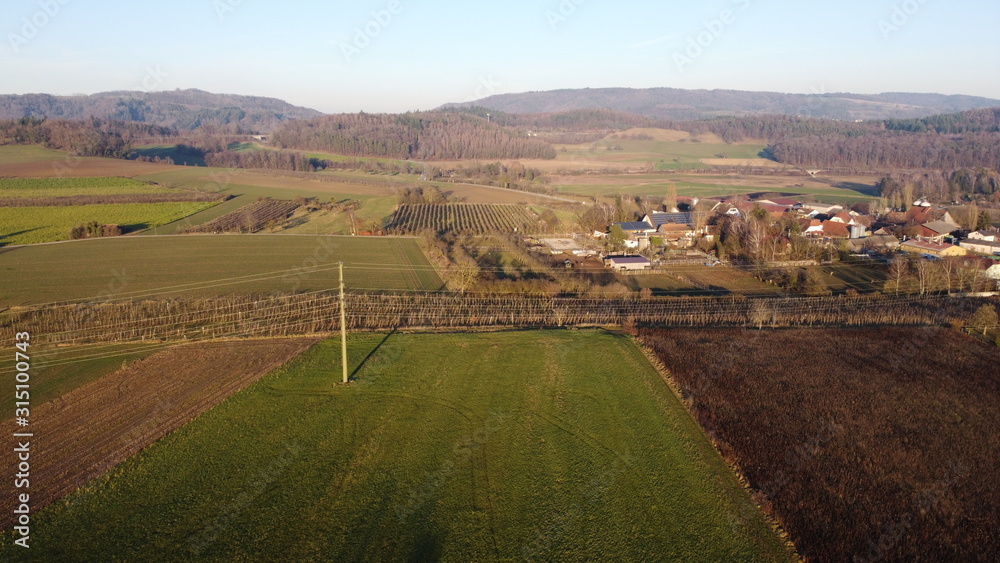 Fototapeta premium Meadow, Greenland, Field, Farming, Woods, Drone shot
