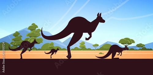 silhouette of jumping wild animals kangaroo Australian landscape nature of Australia wildlife fauna concept horizontal vector illustration