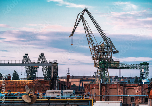 large industrial port cranes