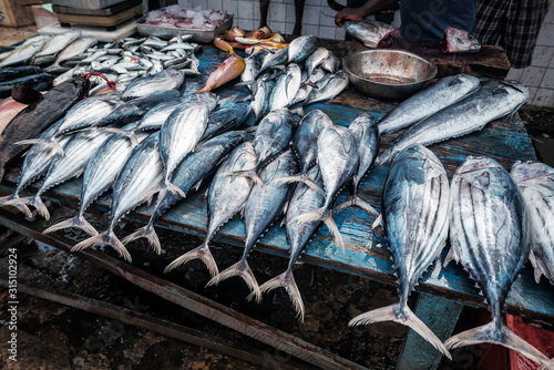 various fresh fish in the port market photo