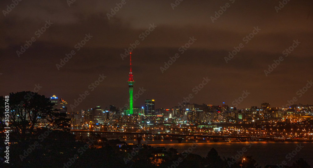 Auckland New Zealand Skyline at night