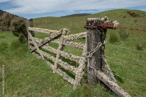 Catlins South island New Zealand. Old gate with moss