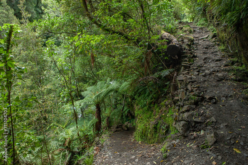 McLeans Falls Catlins. South Island New Zealand. Tropical rain forest. McLeans Falls Catlins. South Island New Zealand. Tropical rain forest.