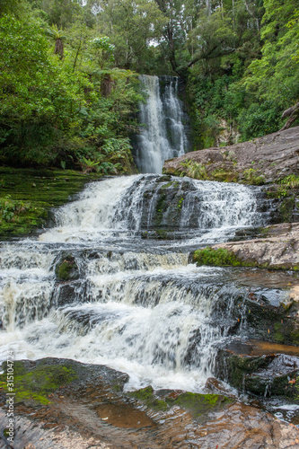 McLeans Falls Catlins. South Island New Zealand. Tropical rain forest.