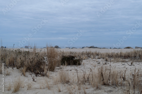 Wallpaper Mural Plage américaine Torontodigital.ca