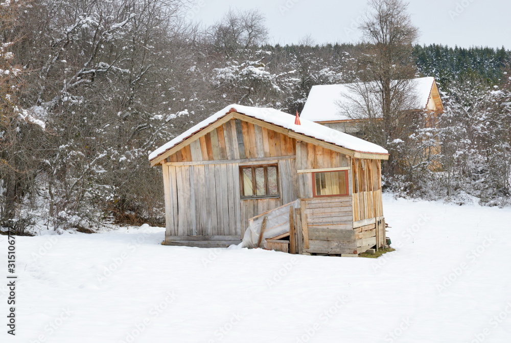 wooden house in the snow